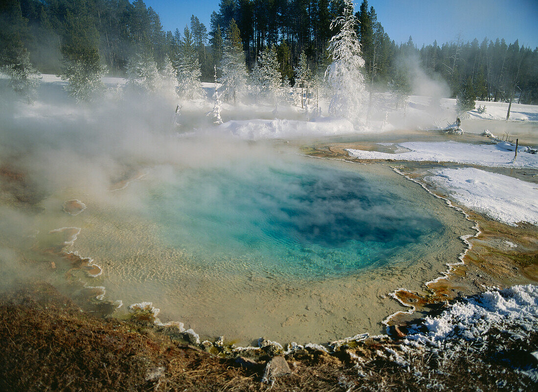 A hot spring in Silex Spring, Fountain Paint Pot, Yellowstone national park, Wyoming, North America, USA