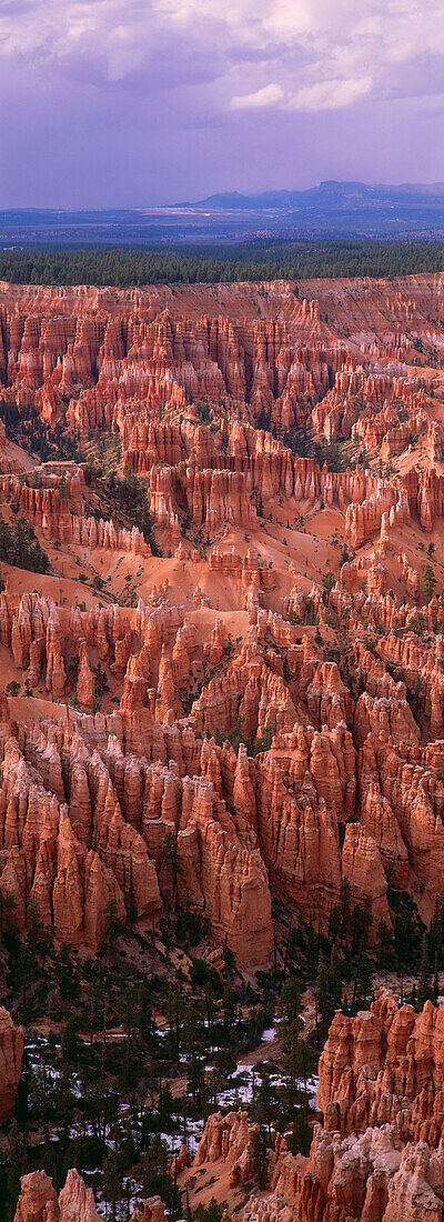 Bryce Amphitheater, Bryce Canyon National Park, Utah, USA