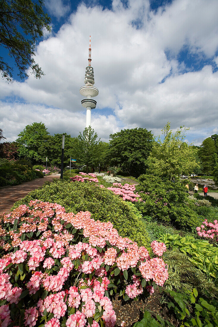 Planten un Blomen park, communications tower in background, Hamburg, Germany