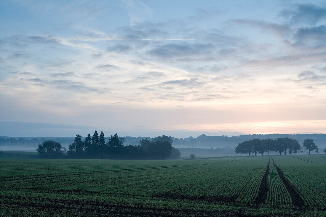 Idylische Landschaft im Morgennebel, Domäne Beberbeck, Hessen, Deutschland, Europa