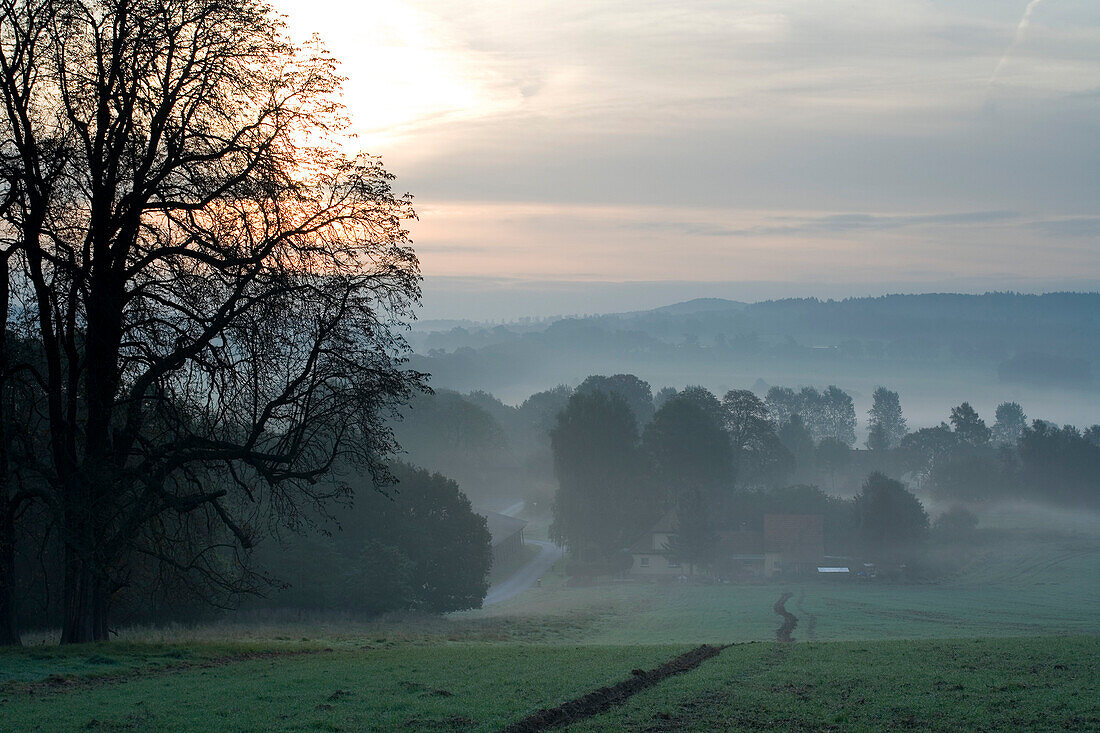 Idyllic landscape in the morning mist, Domain Beberbeck, Hesse, Germany, Europe