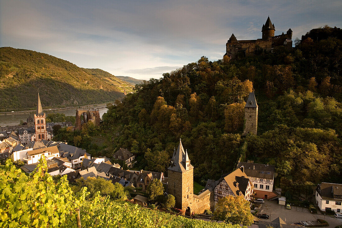 View over Bacharach with St. Peter's church, ruin Wernerskapelle and Stahleck castle, Bacharach, Rhineland-Palatinate, GErmany