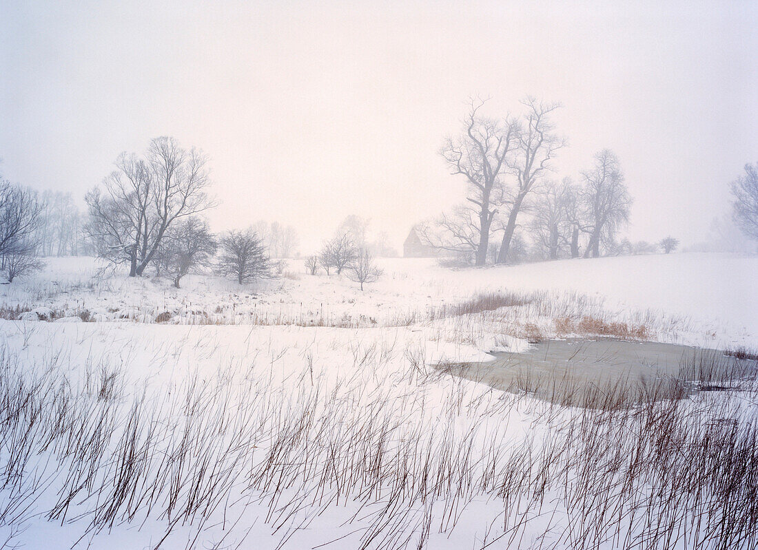 Snow covered scenery near Stonkvitz, Rugen Island, Mecklenburg-Western Pomerania, Germany