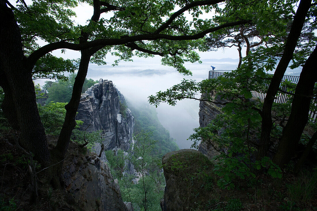 View from a viewpoint over a valley in the fog, Saxon Switzerland, Elbsandsteingebirge, Saxony, Germany, Europe