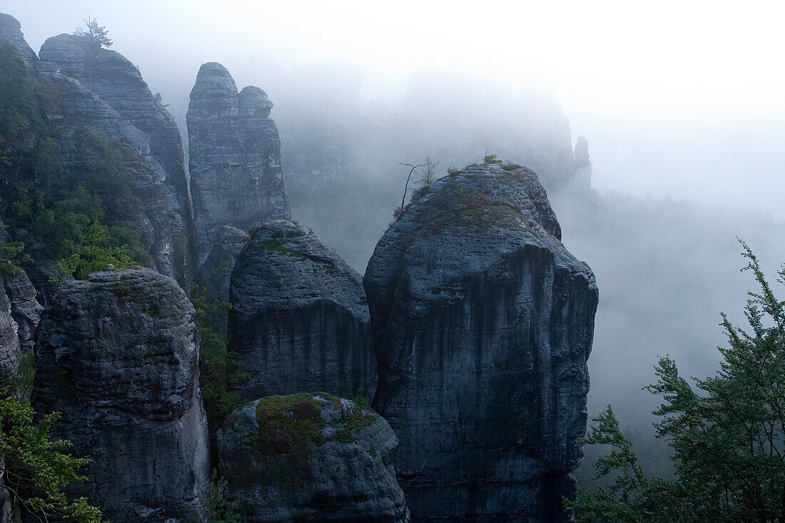 Rock formation in the fog, Neurathener rock faces, Saxon Switzerland, Elbsandsteingebirge, Saxony, Germany, Europe