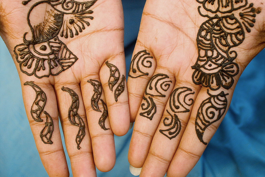 Mehndi (henna hand painting), Ranthambhore Regency Hotel, Ranthambhore, Rajasthan, India
