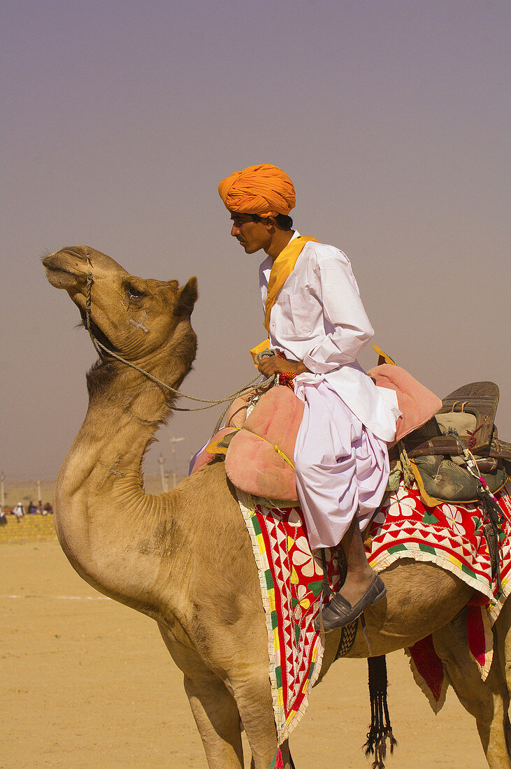 Camel polo match, Desert Festival, Jaisalmer, Rajasthan, India