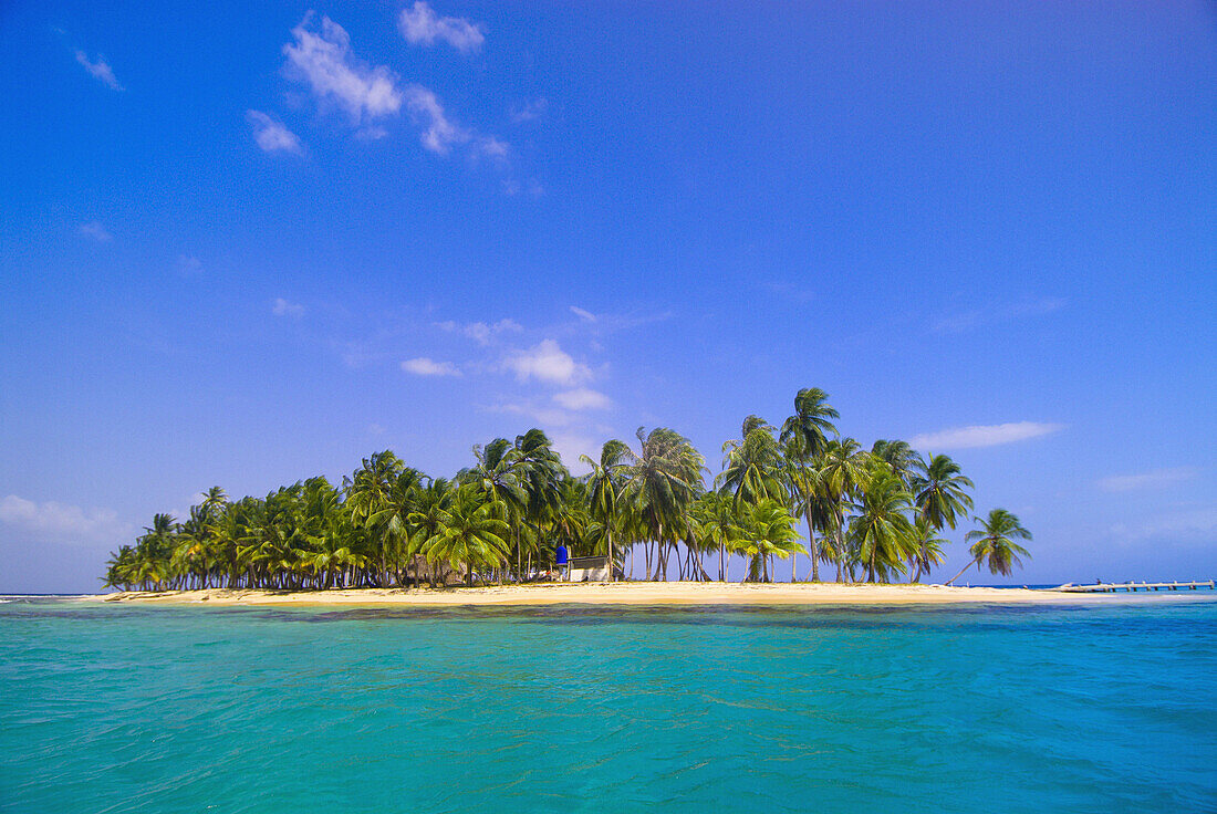 Palm trees on Pelican Island (a.k.a. Icotupo Island), San Blas Islands (Kuna Yala), Caribbean Sea, Panama