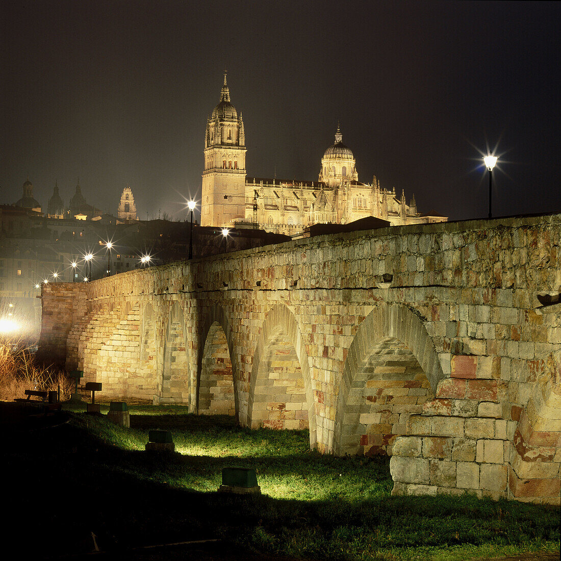 Cathedral and Roman bridge, Salamanca. Castilla-León, Spain