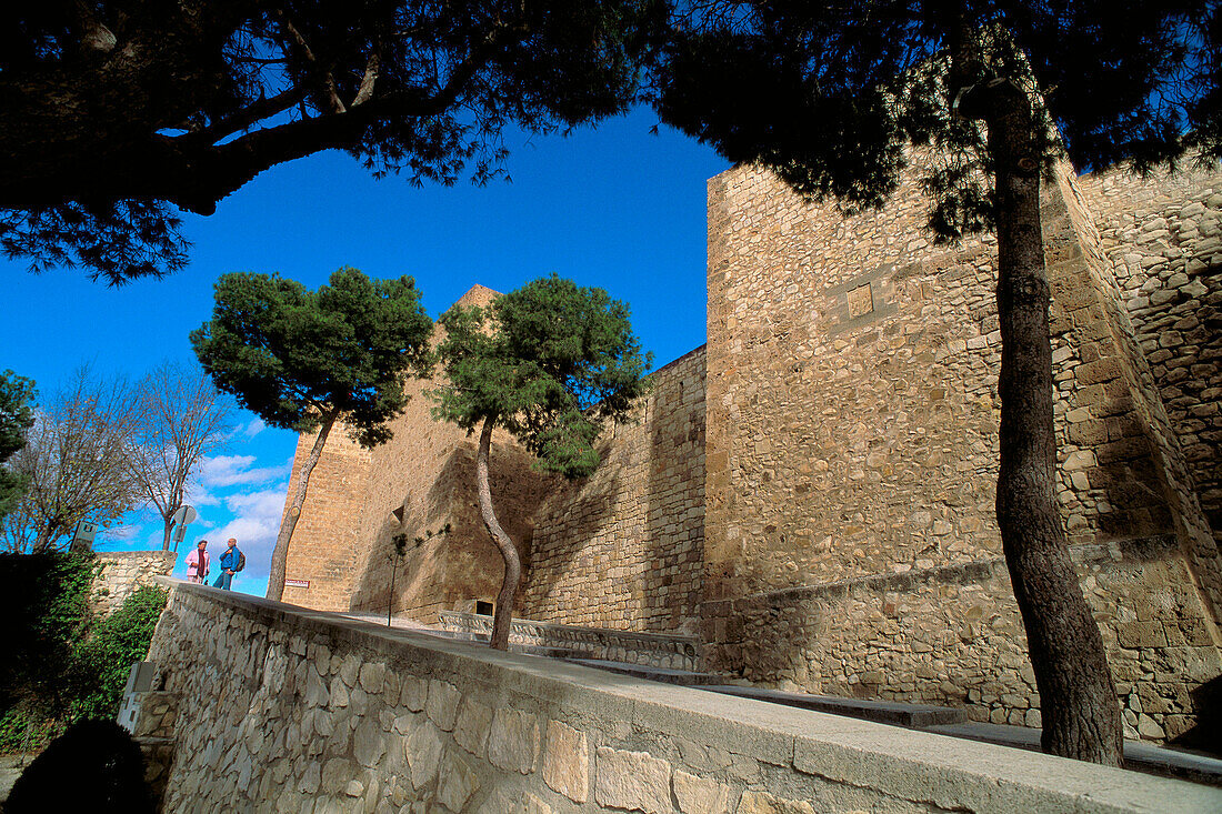 Caravaca de la Cruz. Castle and fortress. XIIth-XVth centuries. Murcia province. Spain.