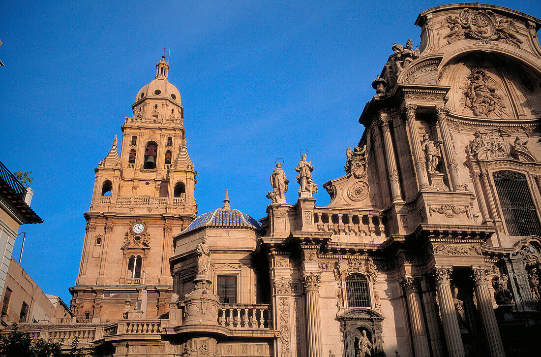 Cathedral. XVth century. Cardenal Belluga square. Murcia. Spain.