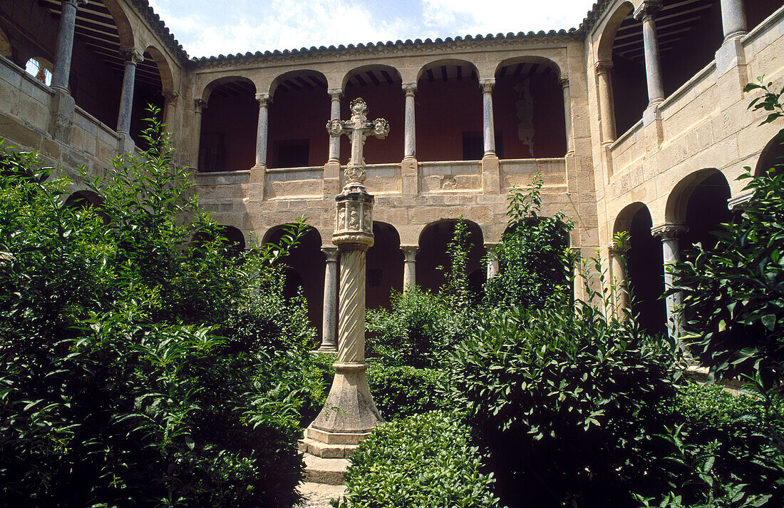 Columns in El Salvador cathedral cloister. Orihuela. Alivante province. Comunidad Valenciana. Spain.