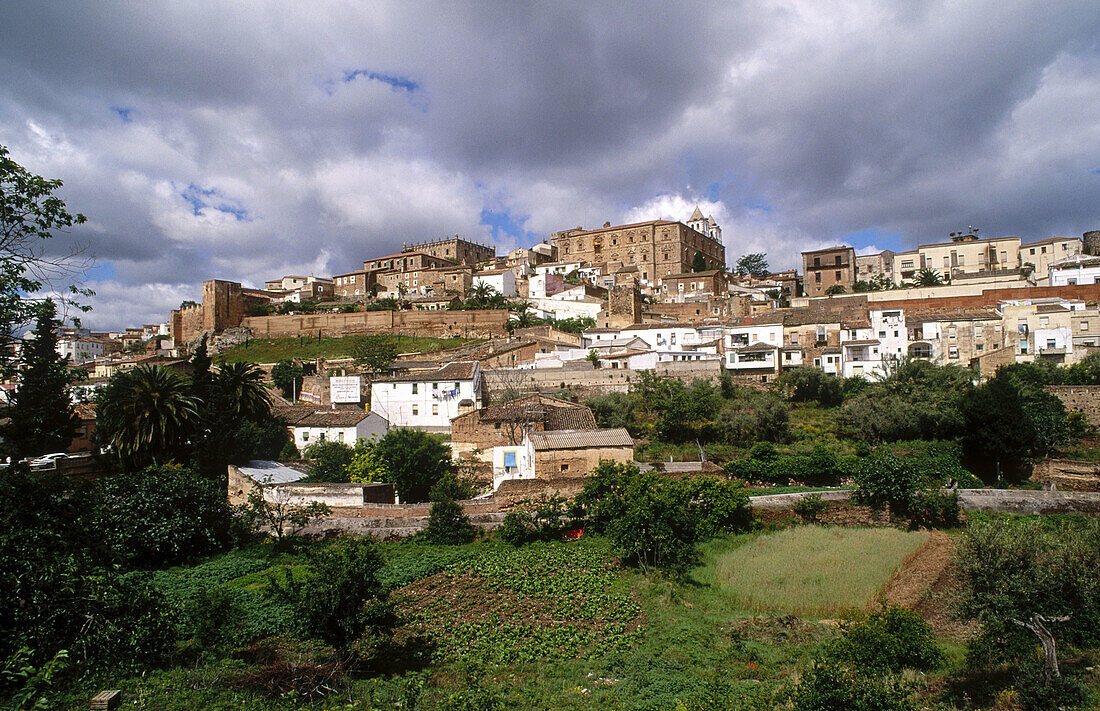 Cáceres. Extremadura. Spain.
