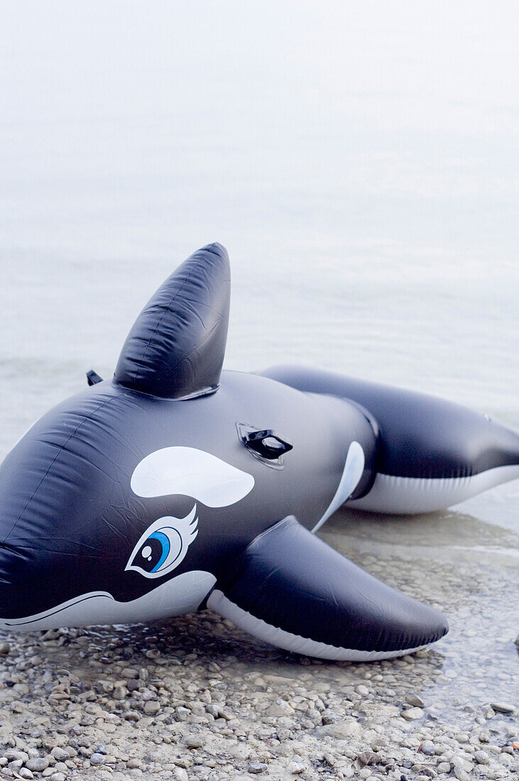 An inflatable shark, whale on the lake shore, lake Ammersee, Bavaria, Germany