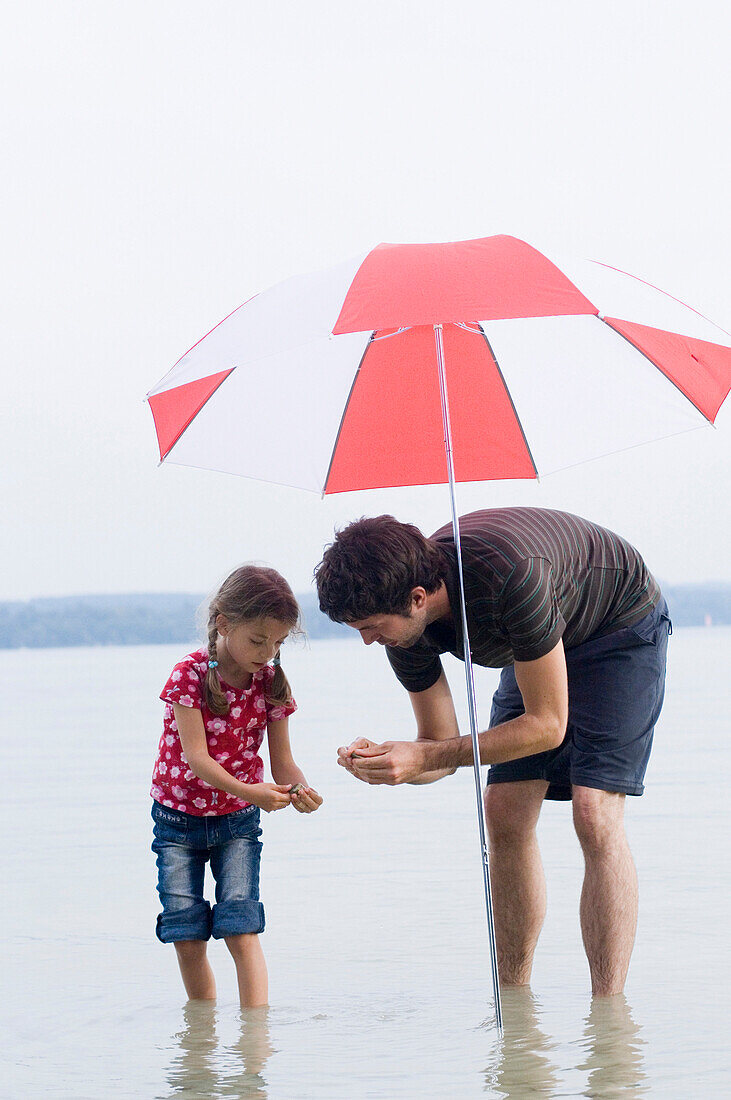 Father and daughter (3-4 years) searching for mussels in lake Ammersee, Bavaria, Germany