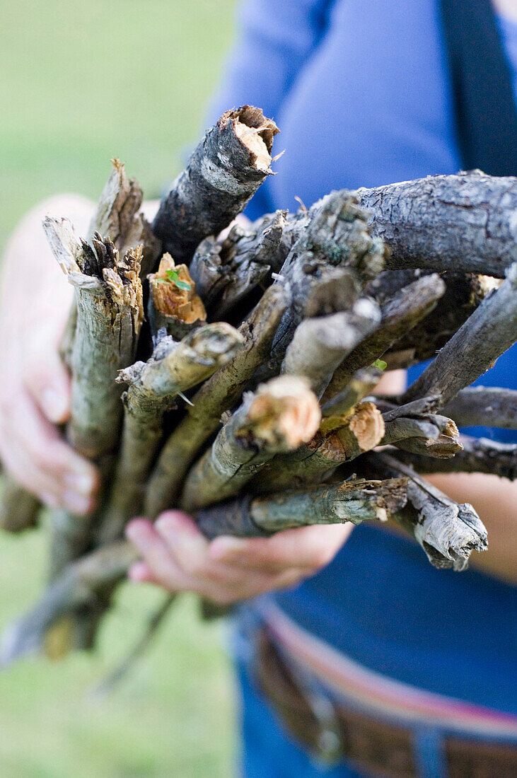 Person holding collected branches