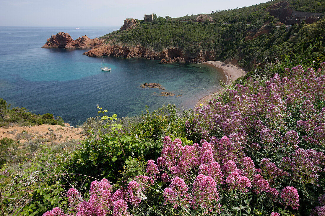 Blick auf der Strand und Küstenlandschaft, Cap Roux, Côte d'Azur, Provence, Frankreich