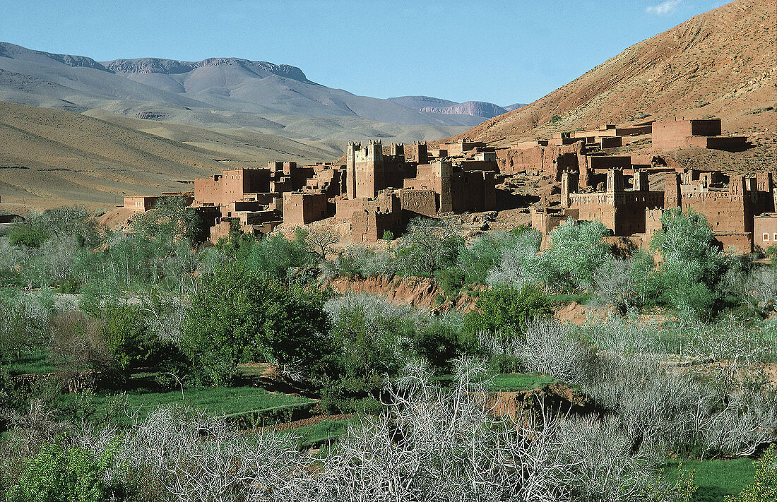 Dades valley. Morocco.