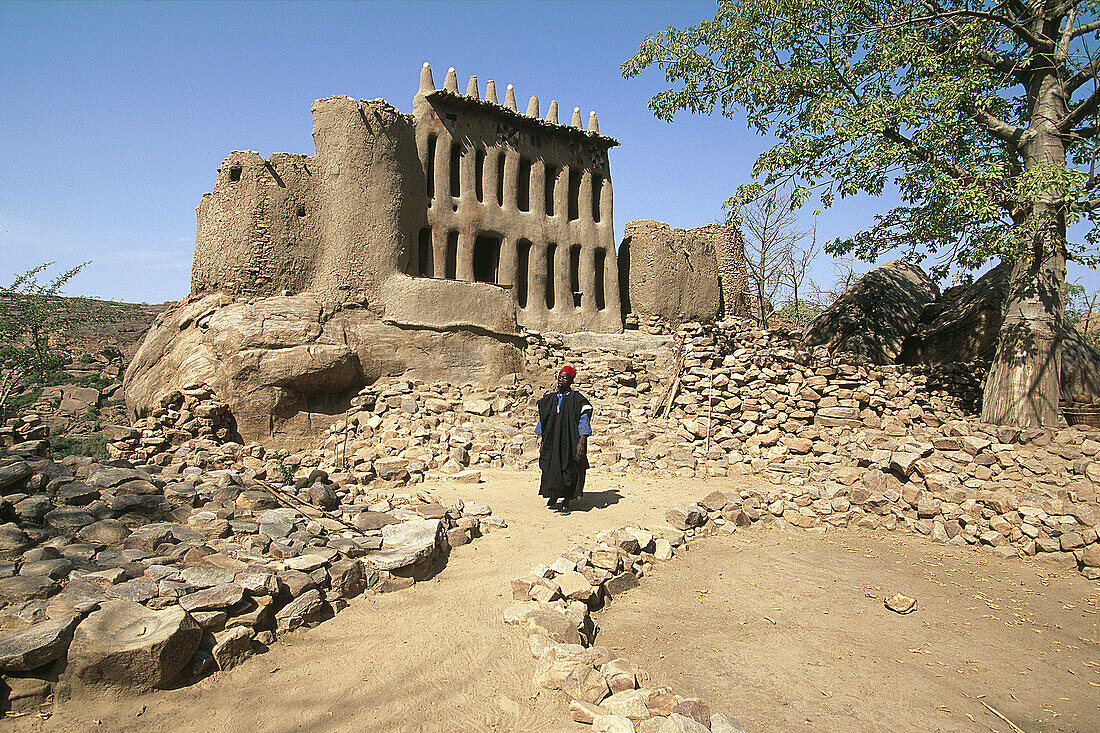 Clay architecture. Dogon country. Mali.