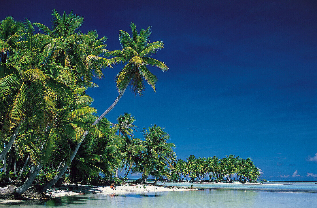 Rangiroa. Tuamotu archipelago. French Polynesia.