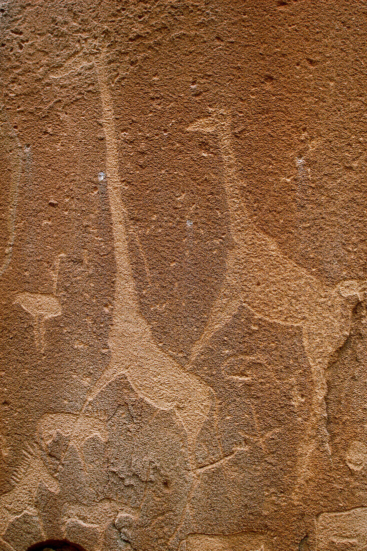 Twyfelfontein. Namibia.