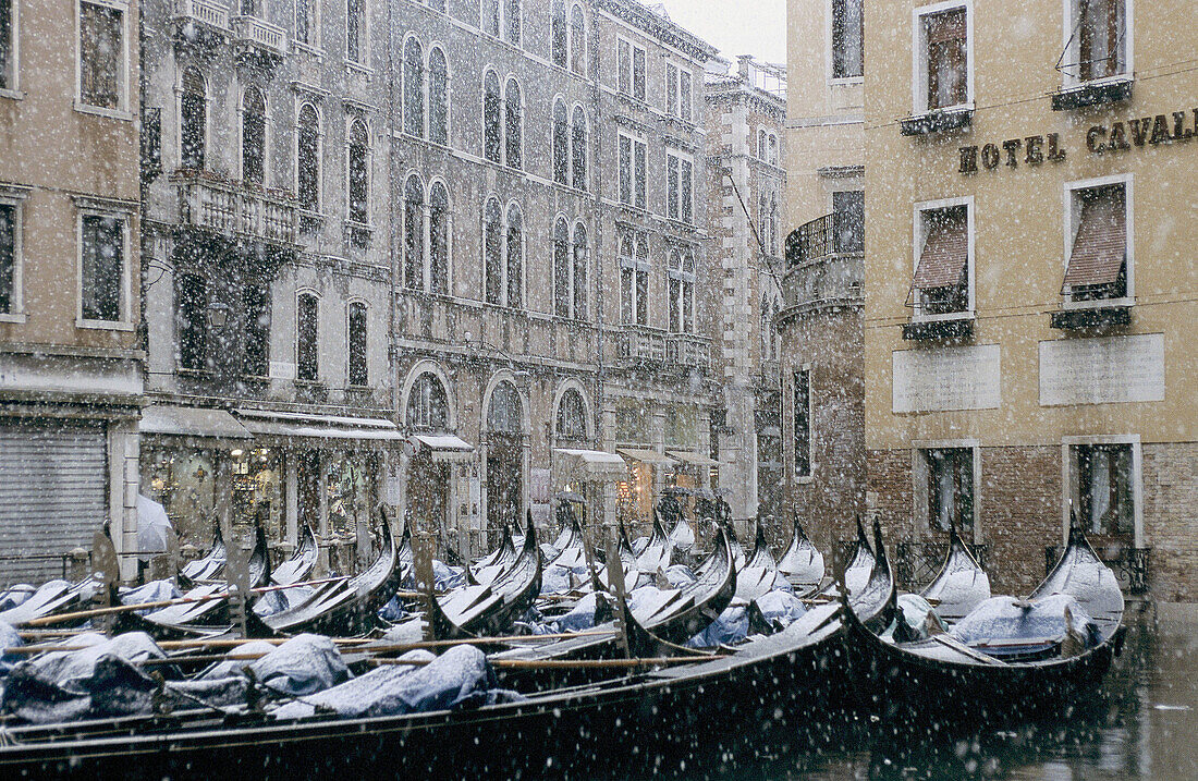 Snowfall, Venice, Italy