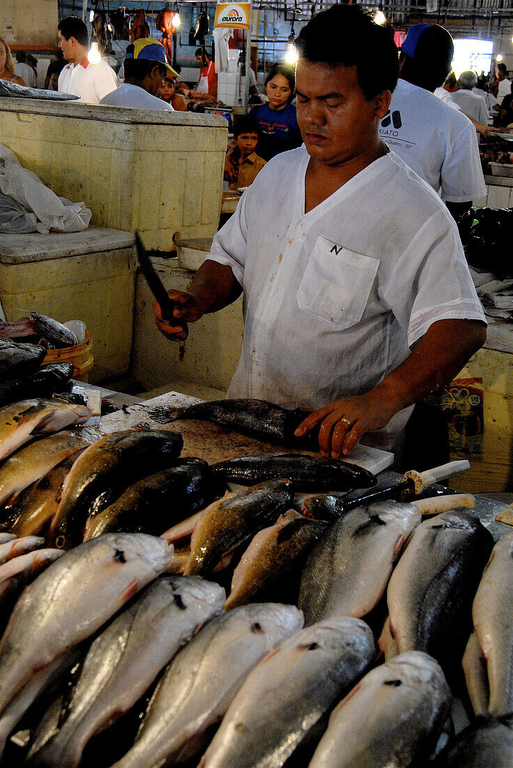 Market. Manaus, Amazon. Brazil