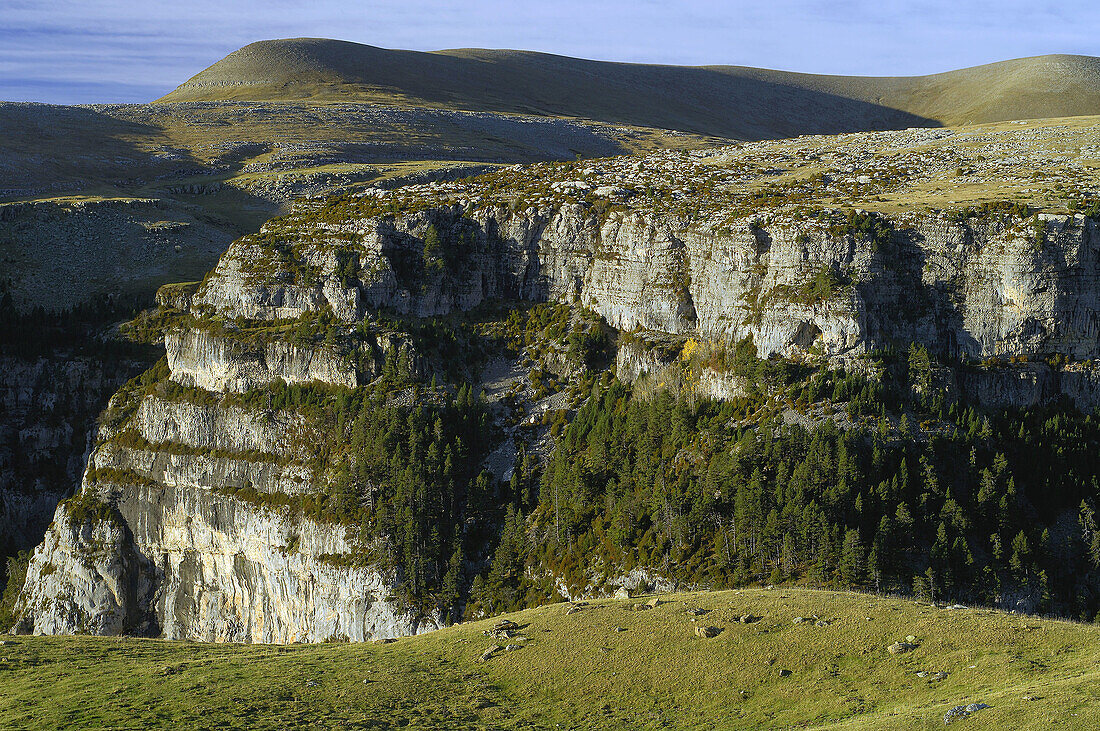 Añisclo valley. Parque Nacional de Ordesa and Monte Perdido. Huesca province. Aragon. Spain.