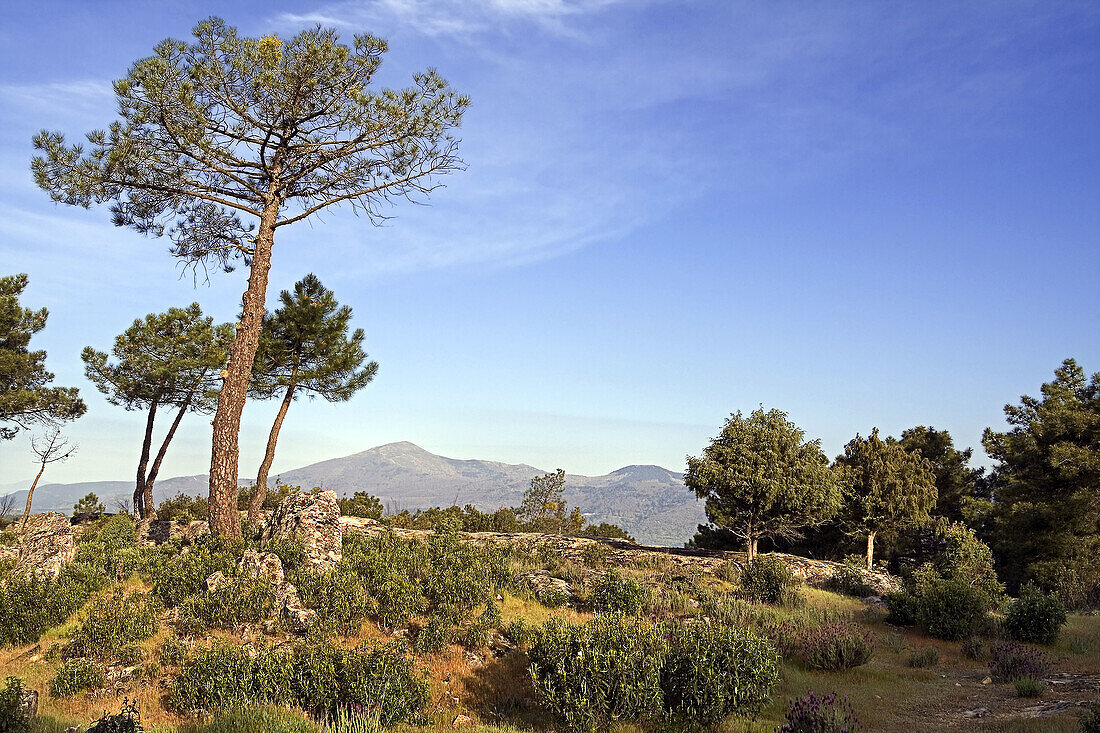 Pico Casillas or del Mirlo. Sierra de Gredos. Spain