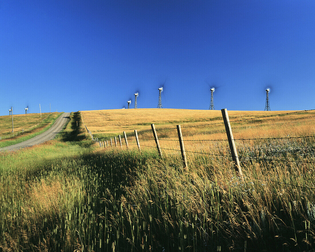 Afternoon Light, Fenceline, Road and Wind Turbines near Pincher Creek, Alberta, Canada