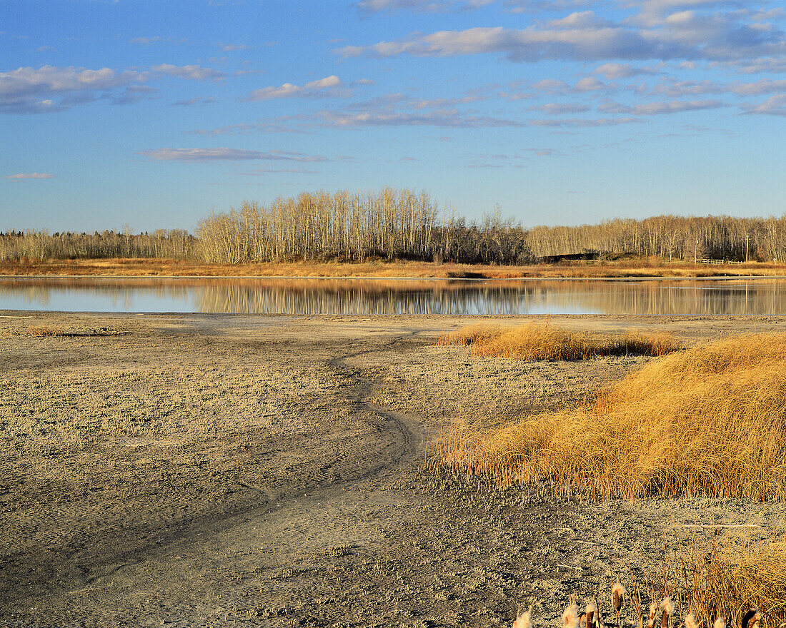 Drought at Wetland Bird Sanctuary near Devon, Alberta, Canada