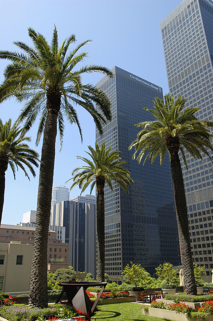 Bunker Hill District. Corporate Buildings Downtown Los Angeles. California. USA.