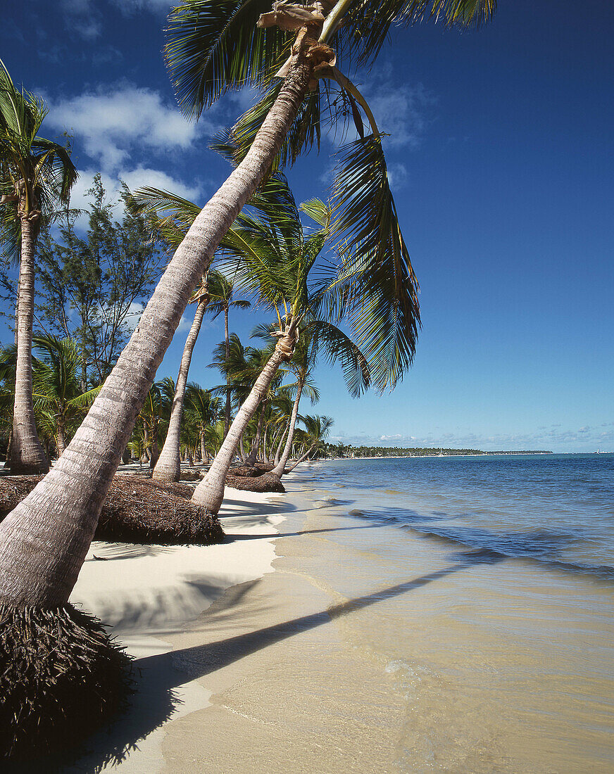 tranquil caribbean beach, Punta Cana, Dominican Republic, Greater Antilles, Latin America