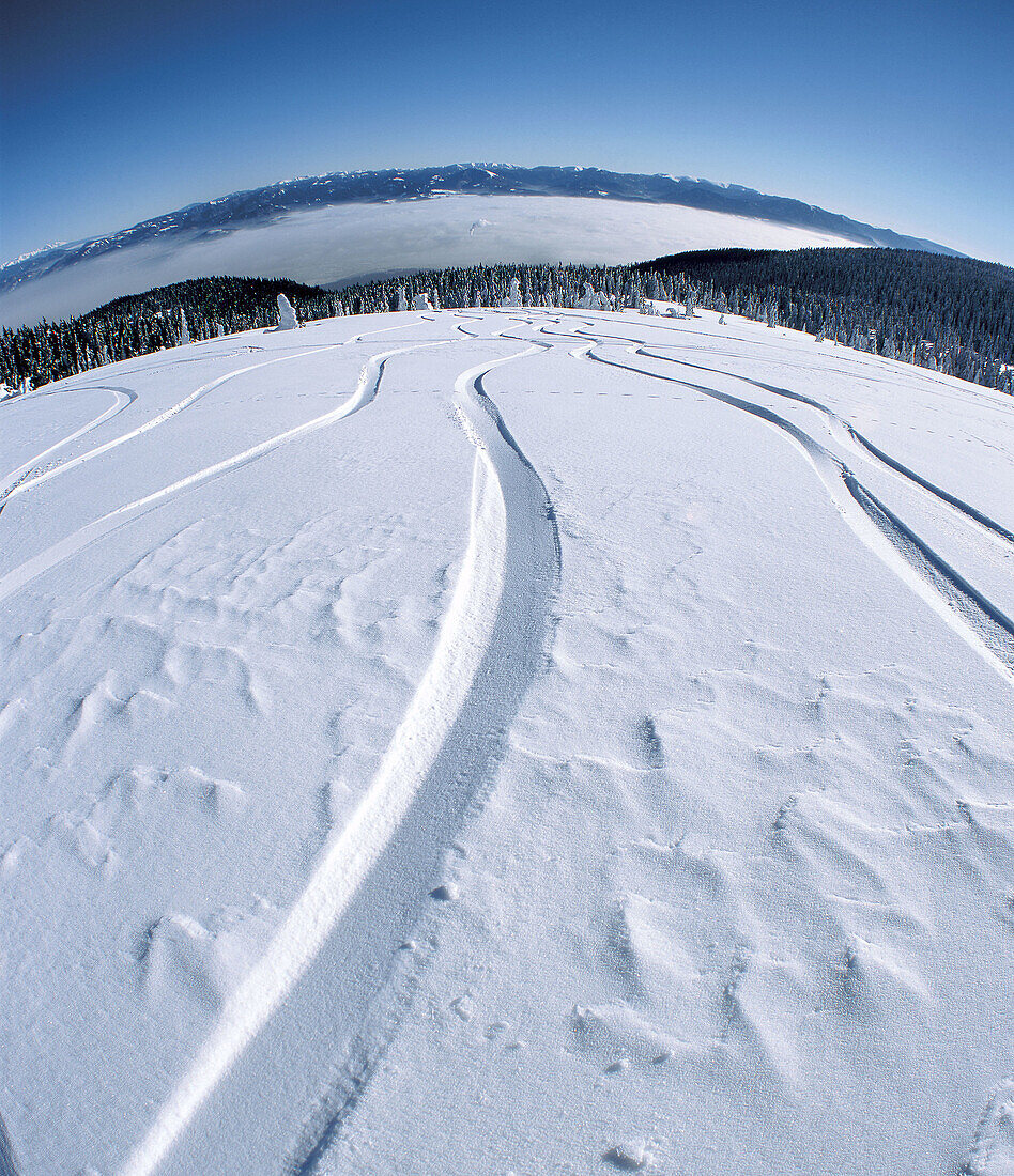 Martinske Hole, Mala Fatra, Little Fatra, Fatra, Slovakia, snowboard tracks