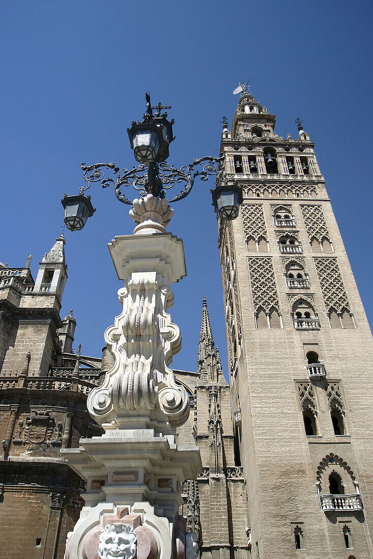 Giralda tower, Sevilla. Andalusia, Spain