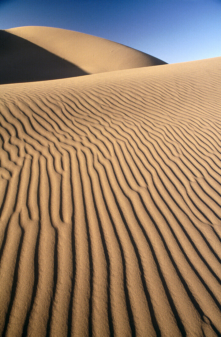 August in the desert it was so hot in the day time. 50º thermometer wast enough to measure. I took this picture cool early in the morning in the total silence.