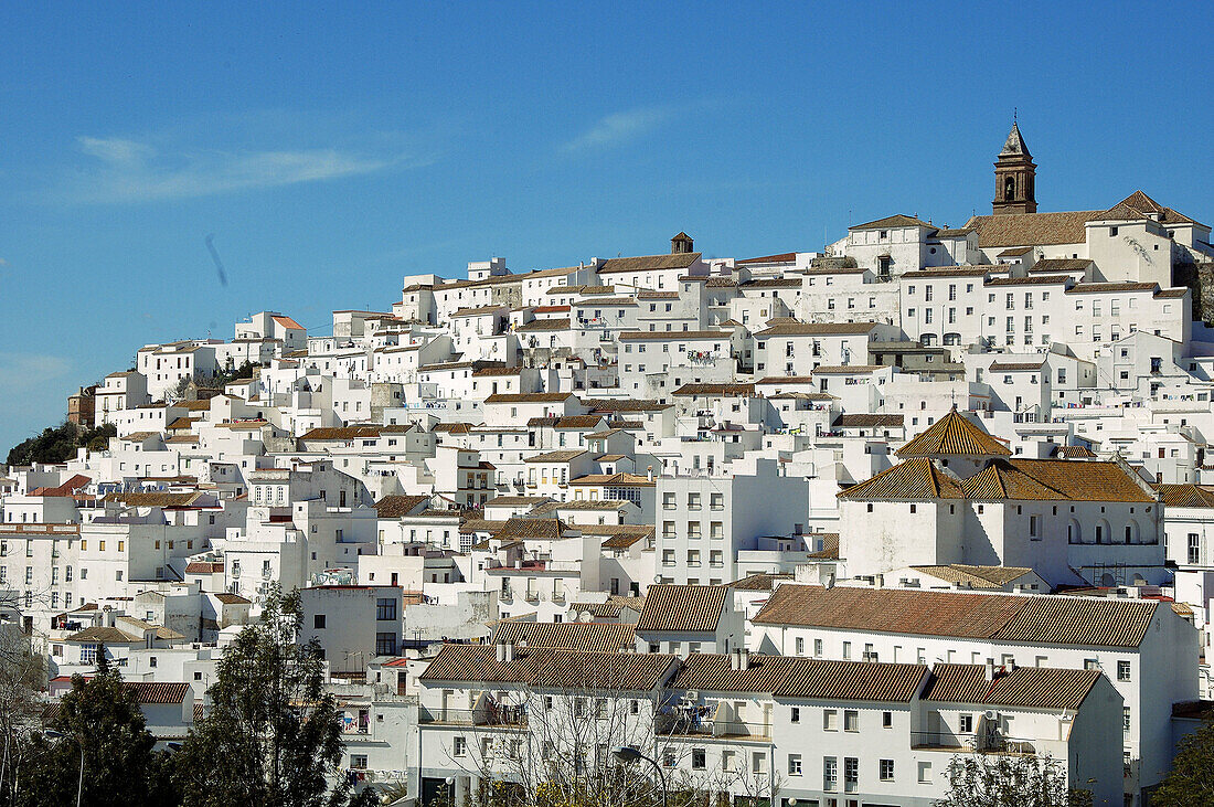 Alcalá de los Gazules. On top of the hill Iglesia Mayor Parroquial de San Jorge. Cadiz province. Andalucia. Spain.