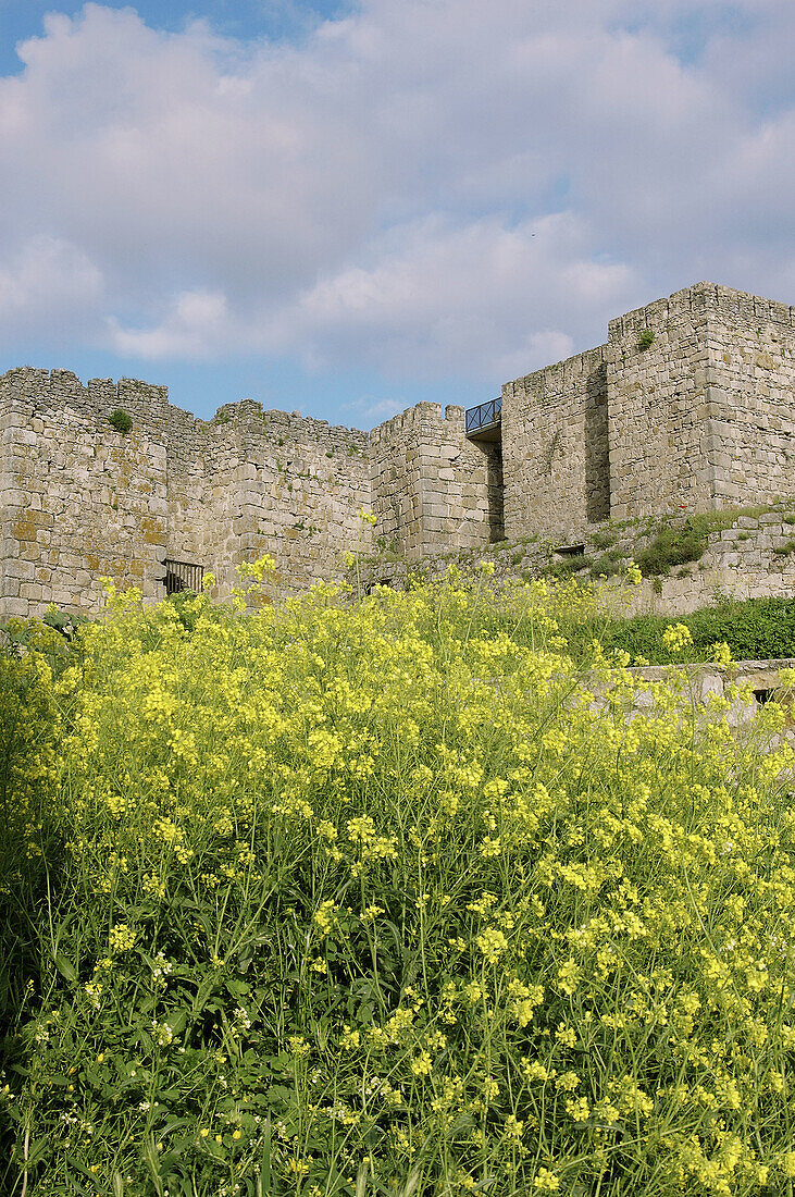 Castle. Village where  Conquistador Pizarro was born. Trujillo. Caceres province. Extremadura. Spain