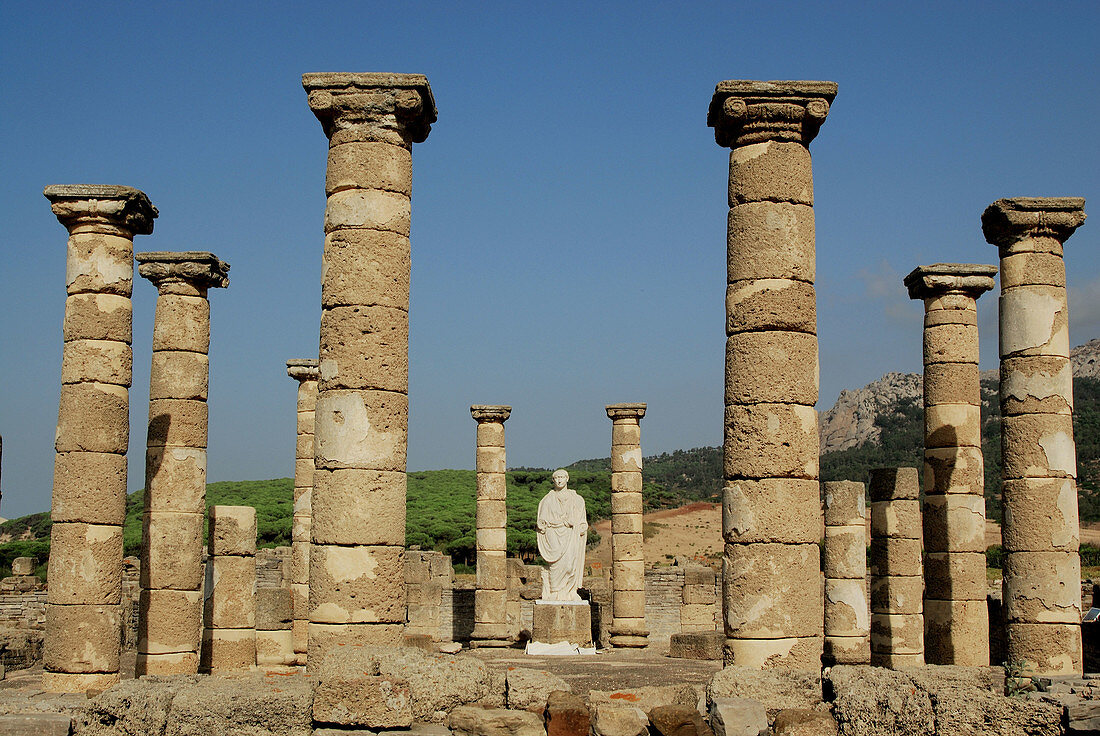 Ruins of old roman city of Baelo Claudia, Tarifa. Cadiz province, Andalusia, Spain