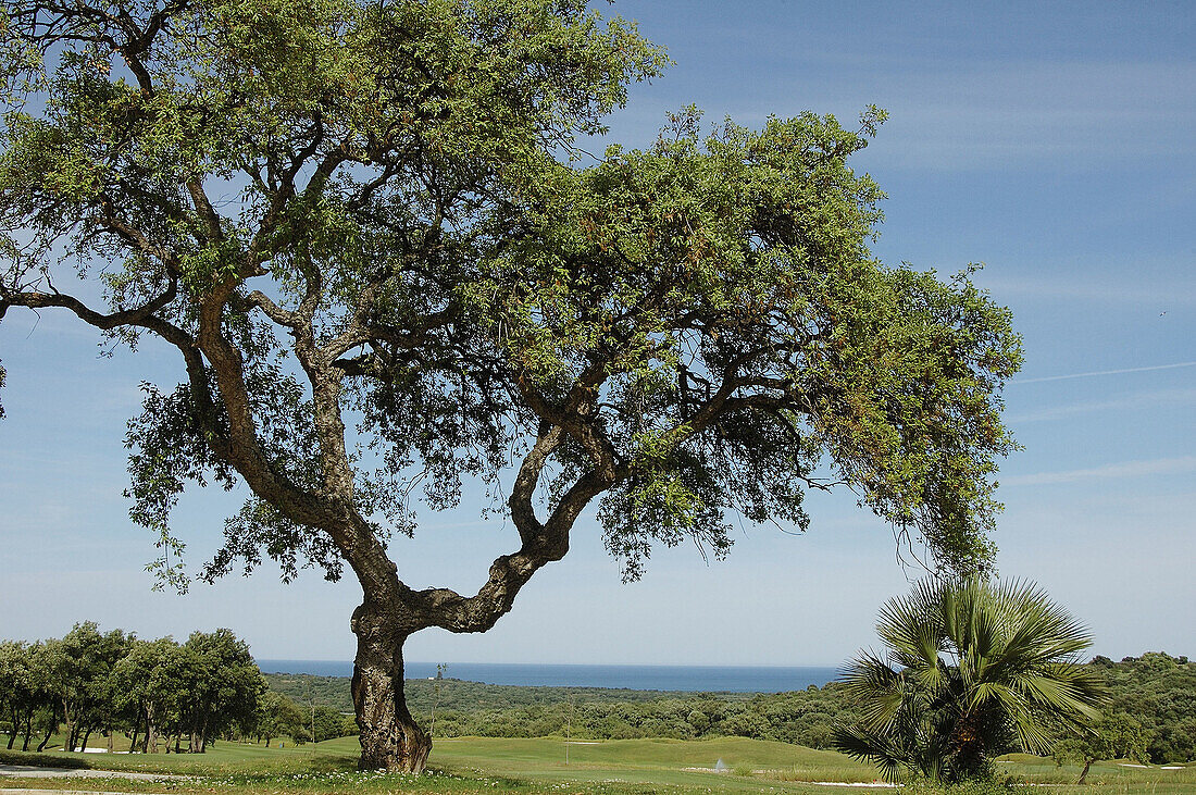 San Roque club, San Roque, Sotogrande. cádiz province, Andalusia, Spain