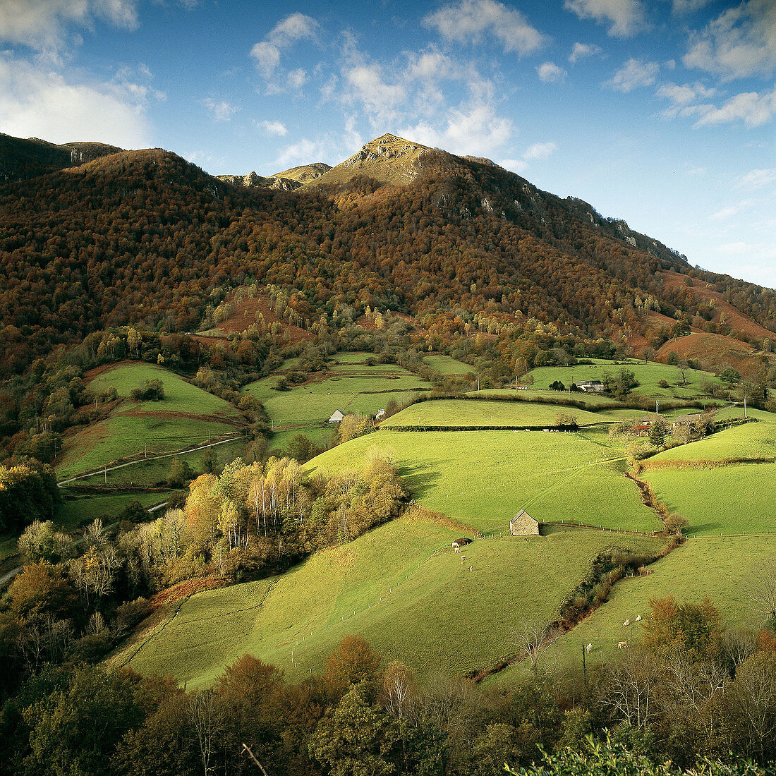 French Basque Country