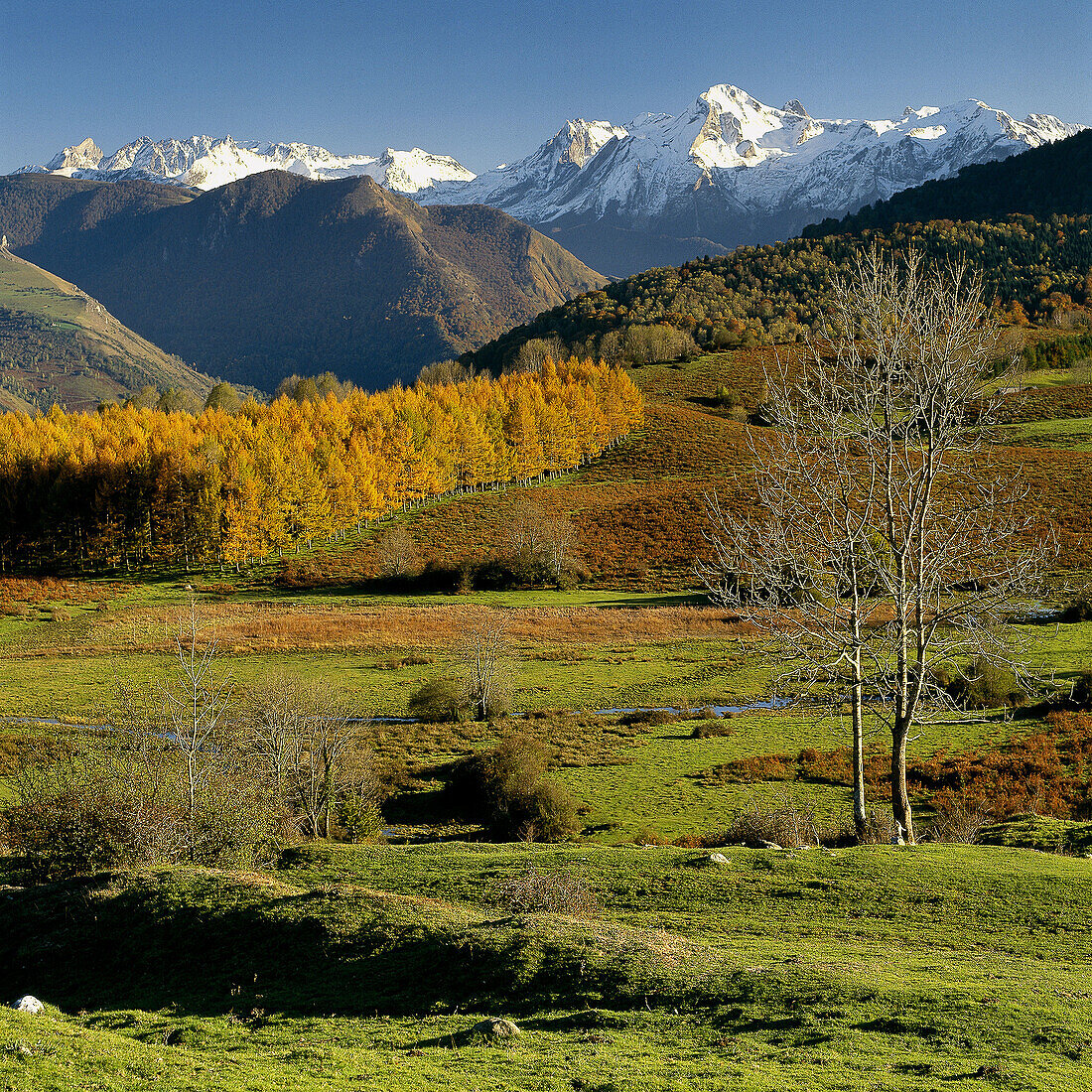 French Pyrenees. France.