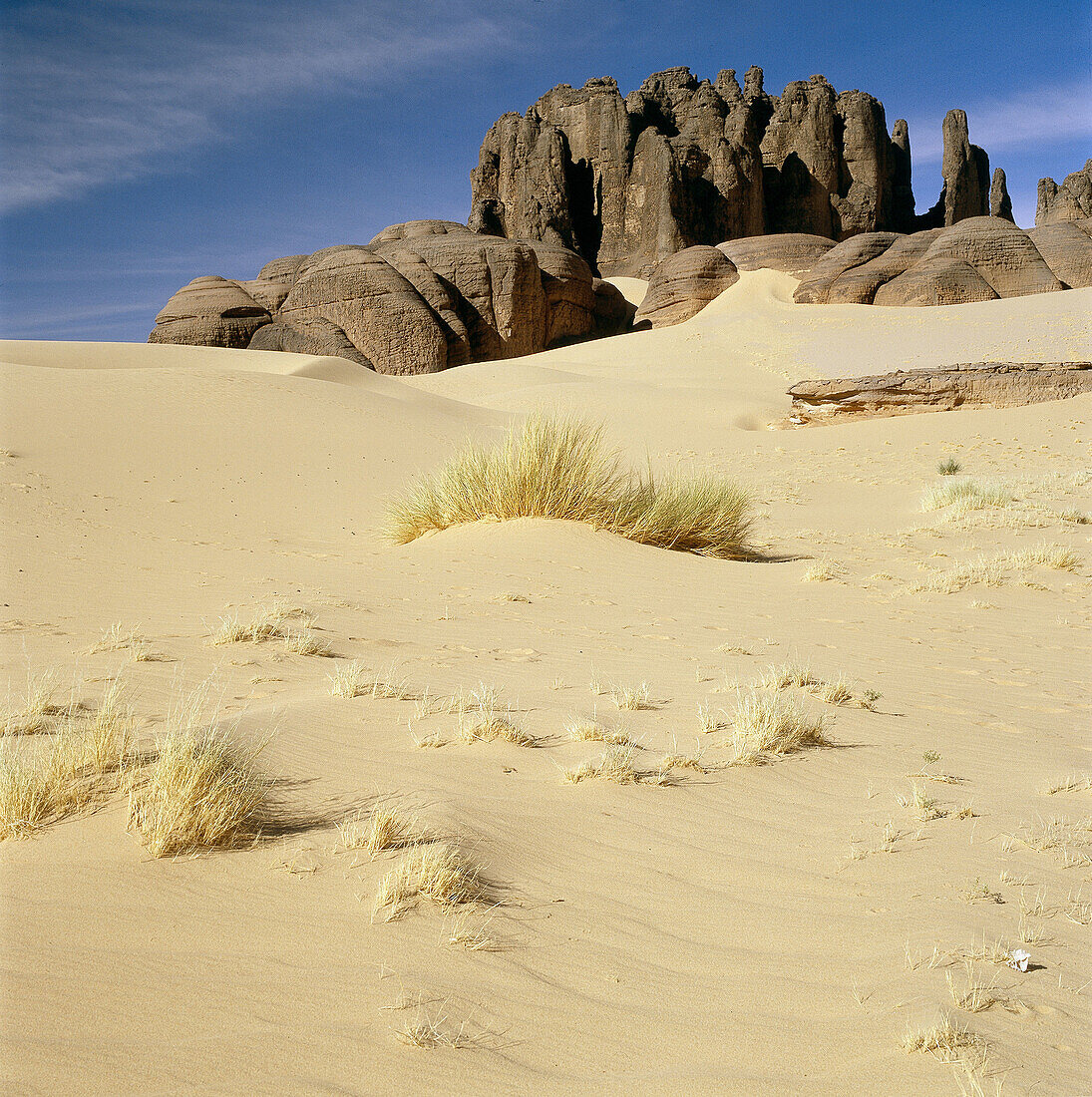 Ténéré desert. Argelia.