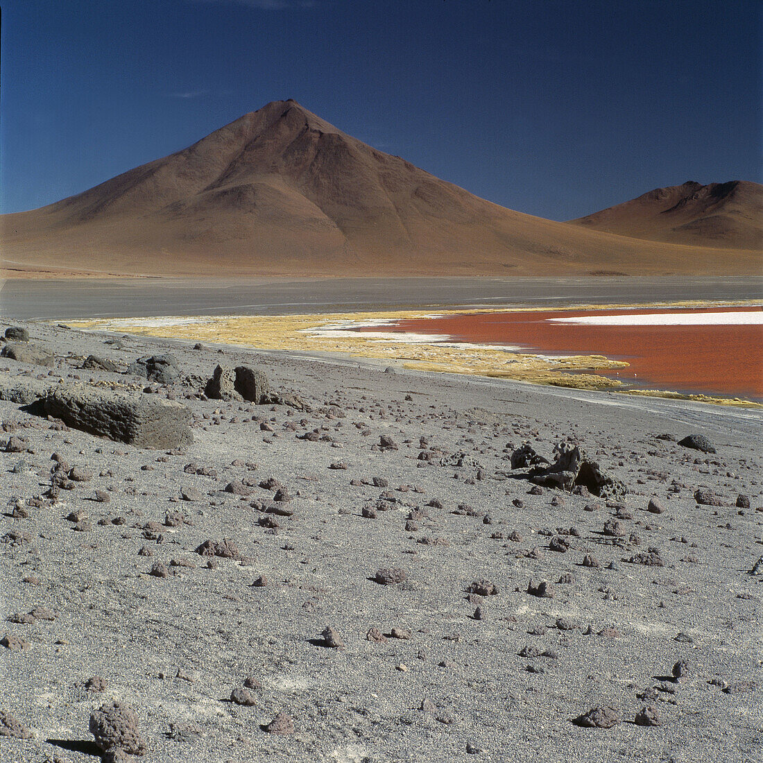 Laguna Colorada. Bolivia.