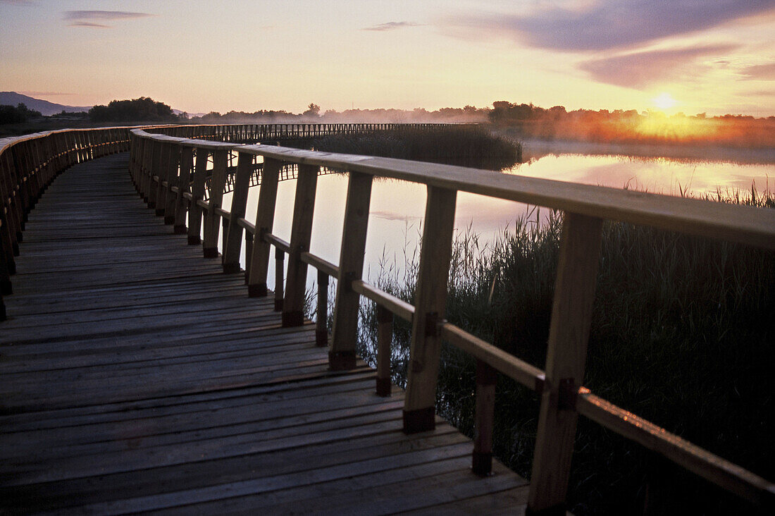 Tablas de Daimiel National Park. Ciudad Real province, Castilla-La Mancha, Spain