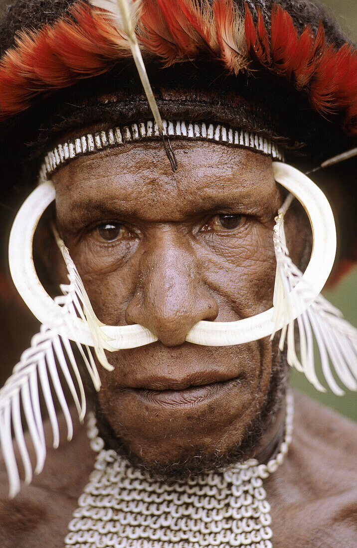 Portrait of Dani man with painted face, rooster feathers head-dress and  nose adornment made of bones, Western Papuasia, Baliem valley, Former Irian-Jaya, Indonesia