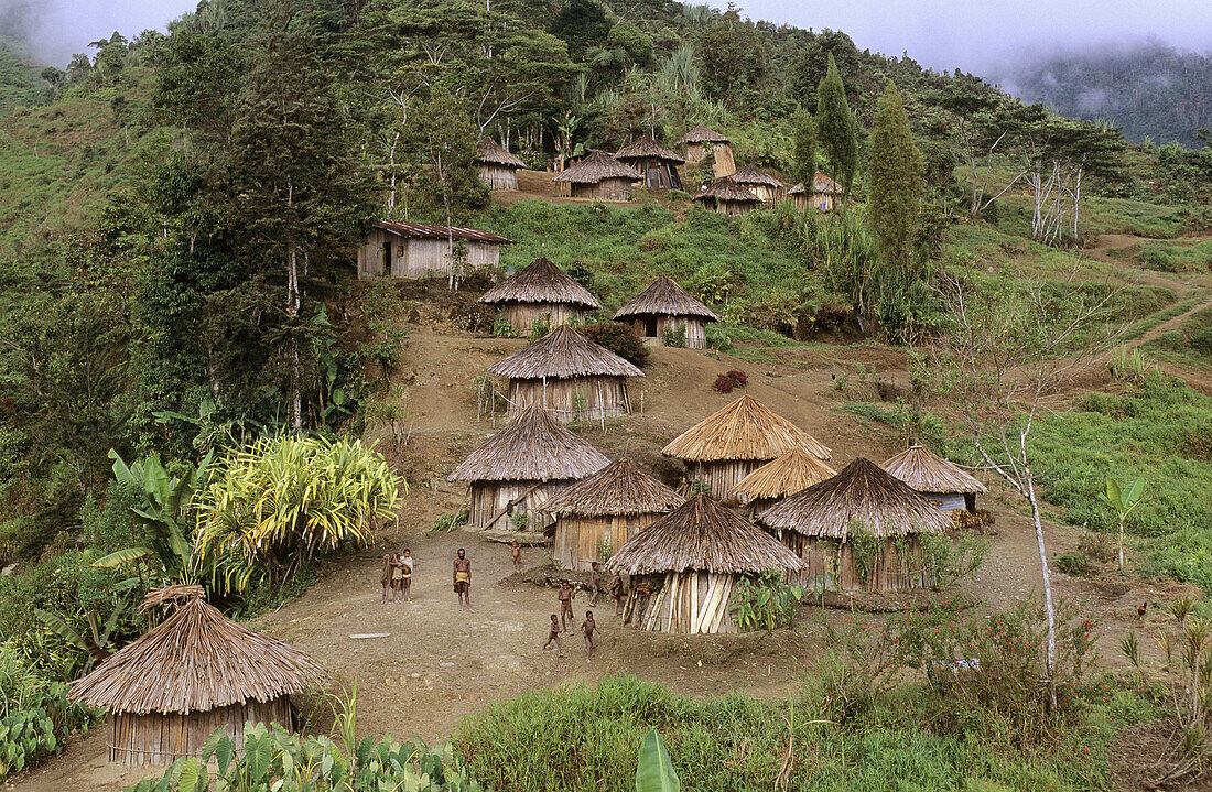 Yalis village of Serkasi, Western Papuasia, Former Irian-Jaya, Indonesia