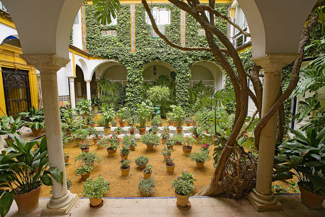 Typical courtyard at Santa Cruz district. Sevilla. Andalusia. Spain.