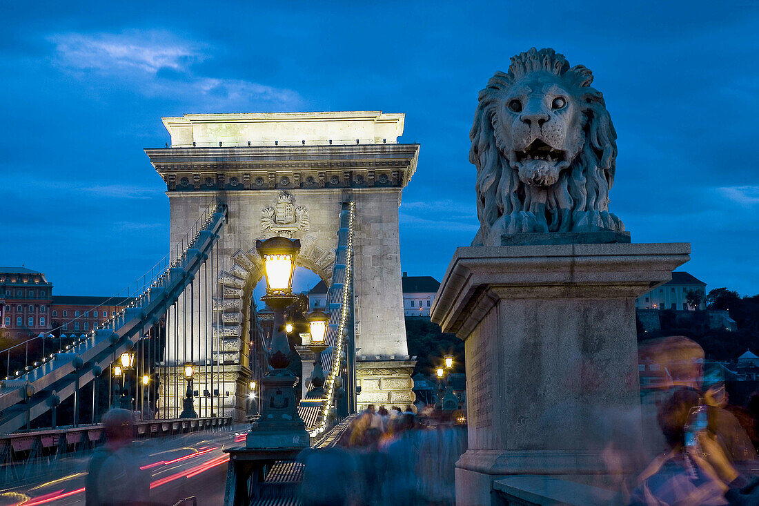 The Chain Bridge. Evening. Budapest. Hungary