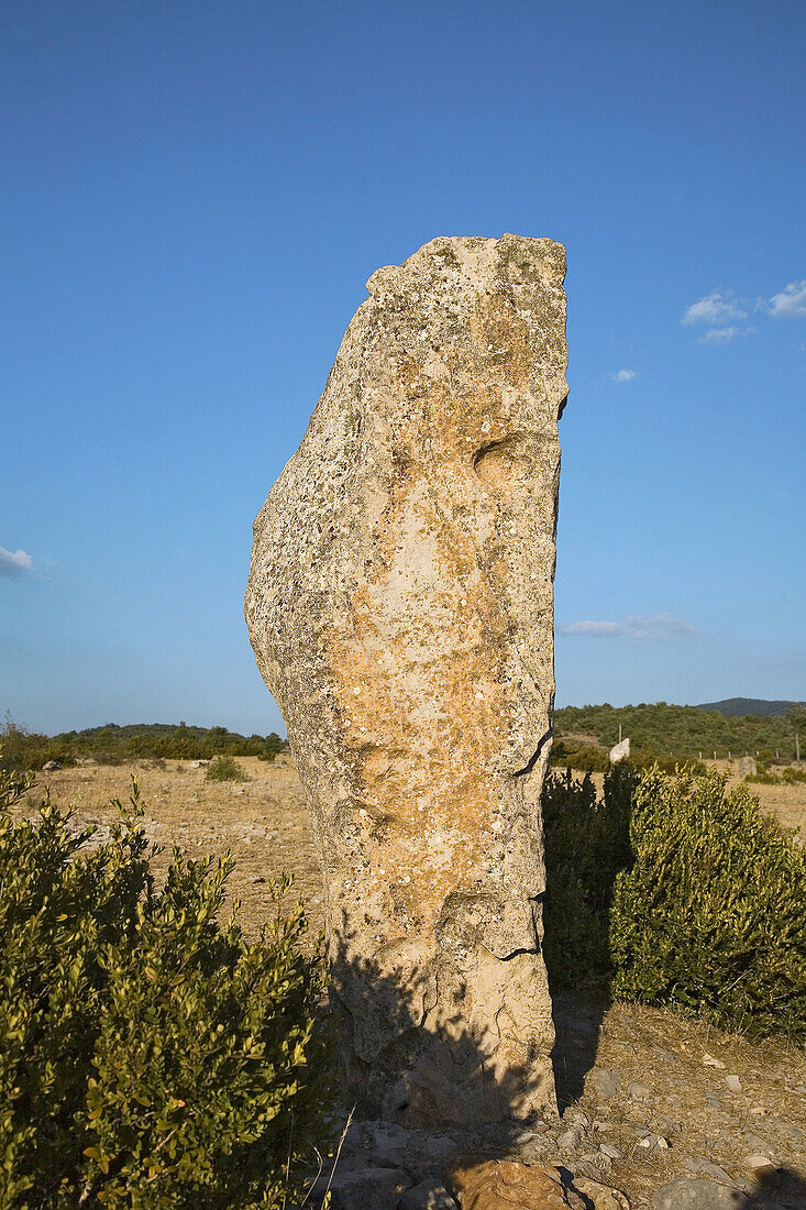 Menhir in south of france : roussillon